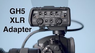 Panasonic GH5 XLR Microphone Adapter DMWXLR1 Review [upl. by Luapleahcim]