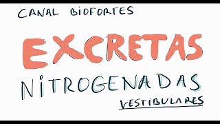 EXCRETAS NITROGENADAS [upl. by Lebama]