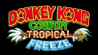 Grassland Groove Ending Donkey Kong Country Tropical Freeze OST [upl. by Ardeahp449]