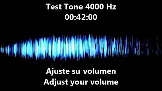 4000 hz Test Tone  Audio frequency  Hearing Test 4khz [upl. by Gussy]