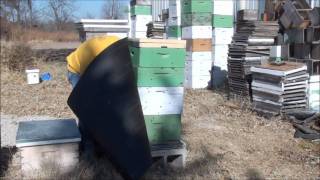 Beekeeping How To Wrap Your Bee Hive For Winter [upl. by Rotce485]