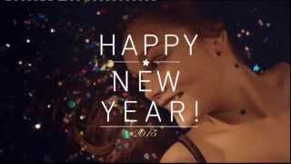 nicknight  Happy New Year  Ident 01012015 [upl. by Aiblis]