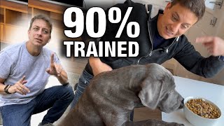 How To Get Your Dog 90 Trained with This ONE EASY Skill [upl. by Leigha335]