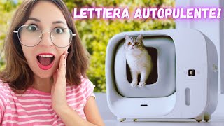 LOGGETTO PER GATTI CHE MI HA CAMBIATO LA VITA lettiera automatica Furbulous box [upl. by Dahij]