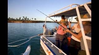 Pelagic Fishing Cobourg Peninsula [upl. by Eyt]