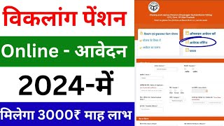 Viklang pension online apply  Viklang pension online apply up 2024  Disability pension apply 2024 [upl. by Arinay]