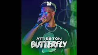 DJ ZERFLY  ATTISE TON BUTTERFLY VOL2 AFRO AMAPIANO DANCEHALL BOUYON TRAP [upl. by Hendricks206]