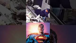 Kittens Life Saved from Dumpster superman super shorts memes [upl. by Avrenim690]