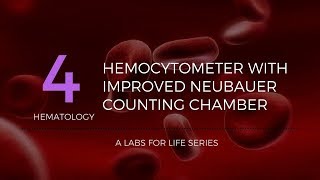 Hemocytometer with improved Neubauer Counting Chamber [upl. by Htaek]