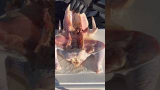 Frog Style Smoked Turkey Prep [upl. by Flss]