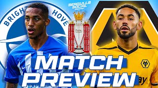 MATCH PREVIEW Wolves vs Brighton [upl. by Eiramnaej322]