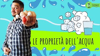 LE PROPRIETÀ DELL’ACQUA  Le scienze spiegate ai bambini di scuola primaria [upl. by Sreip]