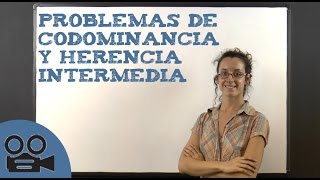 Problemas de codominancia y herencia intermedia [upl. by Dodie]