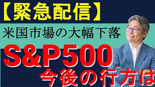 【緊急配信】米国市場の大幅下落による今後のSampP500の行方とは？ [upl. by Naedan253]