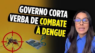 Brasil vive O PIOR surto de dengue da história [upl. by Imaon]