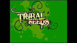 Tribal Seeds  Dark Angel [upl. by Lyred]