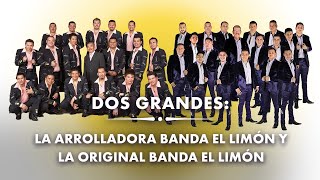 Dos Grandes La Arrolladora Banda El Limón y La Original Banda El Limón [upl. by Punak947]