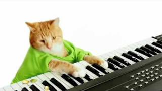 Keyboard Cats Wonderful Pistachios Commercial [upl. by Prissie819]