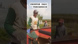 PRONTOK PADI TERCANGGIH [upl. by Chadd]