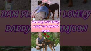 Bam play with lovely daddy and namjoon uncle 🐶 BTS funny Hindi dubbing shorts trending bts [upl. by Hyozo]