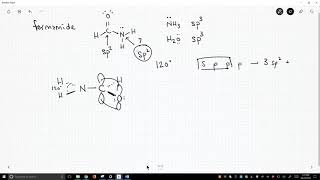 hybridization formamide [upl. by Brittan]