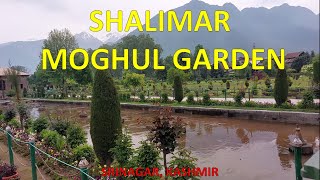 Discover the Enchanting Shalimar Mughal Garden in Srinagar India beautifulindia360 shalimargarden [upl. by Hescock]