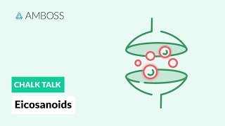 Eicosanoids Formation Function and Subclasses [upl. by Kanal566]