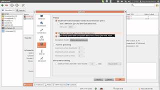qBittorrent options [upl. by Proffitt87]