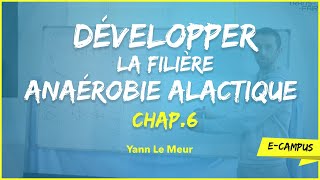 Développer la filière anaérobie alactique [upl. by Cordalia]