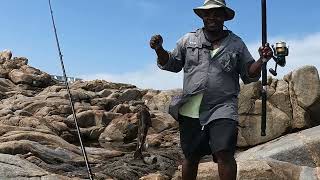 Fish On Grunter Bream Rock Cod [upl. by Ahsimet526]