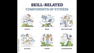 What are the Skill Related Fitness Components [upl. by Tesler]