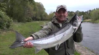 Drowes Salmon Fishery  Spring Salmon Fishing In Ireland [upl. by Bartholomeus]