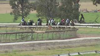 Gulgong 09 06 2024 Race 4 [upl. by Navlys]