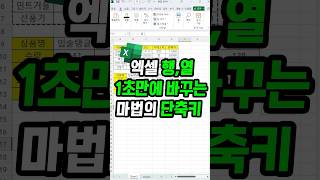 엑셀 행열 가로세로를 1초만에 바꾸는 단축키 [upl. by Golda]