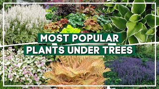 Top 15 Most Popular Plants for Planting Under Trees 🍃 🌳  PlantDo Home amp Garden [upl. by Leakcim]