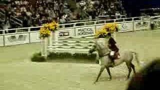 WIHS Puissance Nick Skelton and Russel [upl. by Darla]