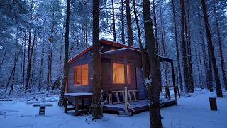 6 months building cabin in the woods off grid house start to finish [upl. by Ynney]