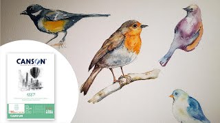 Comment dessiner des oiseaux en utilisant des crayons aquarellables [upl. by Watters]