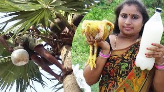 Toddy Palm Neera Wine SAP Liquor Chicken Curry Cooking In My Village  THAATI KALLU Chicken Recipe [upl. by Senzer231]