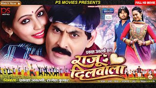 तरी हरि नाना  Tari Hari Na Na Video Song  Raju Dilwala  राजू दिलवाला  CG Movie  Prakash [upl. by Noir958]