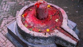 Lingashtakam  Brahmamurari Surarcita Lingam  Lord Shiva Songs  Veeramani Kannan [upl. by Cesaro]