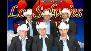 Los Salvajes de Chihuahua  La Cumbia del Mirador [upl. by Ailin]