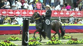 DEUDA DE AMOR DE CRISMA CAMPEONA JOVEN TROCHA COLOMBIANA VENADILLO TOLIMA GRADO B 2024 [upl. by Elery978]