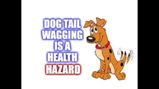 Dog Tail Wagging Is A Health Hazard [upl. by Siraved535]