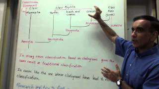 Cladistics Classification  Cladogram construction Taxonomy  Phylogenetic Classification [upl. by Linda78]