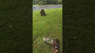 A Druid Circle Runcorns Mini Stonehenge 🕯 vlog stonehenge stonecircle Runcorn [upl. by Alekal]