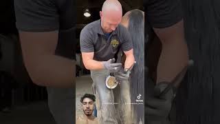 what this is 😳 asmr farrier satisfying tiktok oddlysatisfying [upl. by Aihsas]