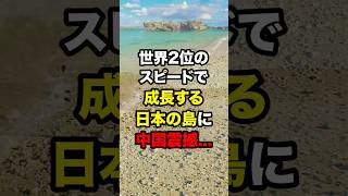 世界2位のスピードで成長する日本の島に中国震撼 海外の反応 [upl. by Ludovico]