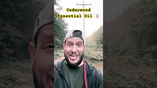 Cedarwood Essential Oil hollistichealth [upl. by Yevol389]