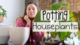 Houseplant Haul amp Repotting Repotting Indoor Plants amp Pottery Haul [upl. by Tj92]